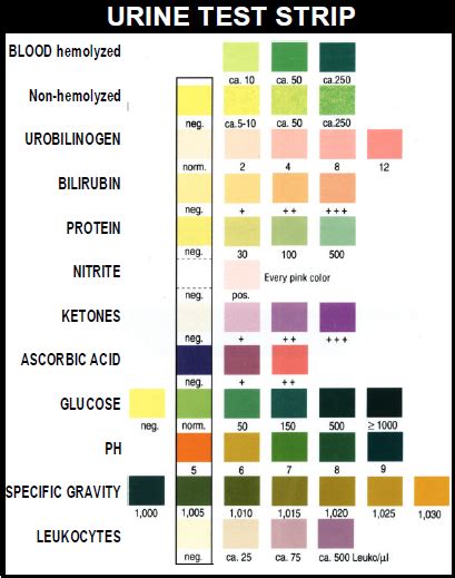 green11 result chart